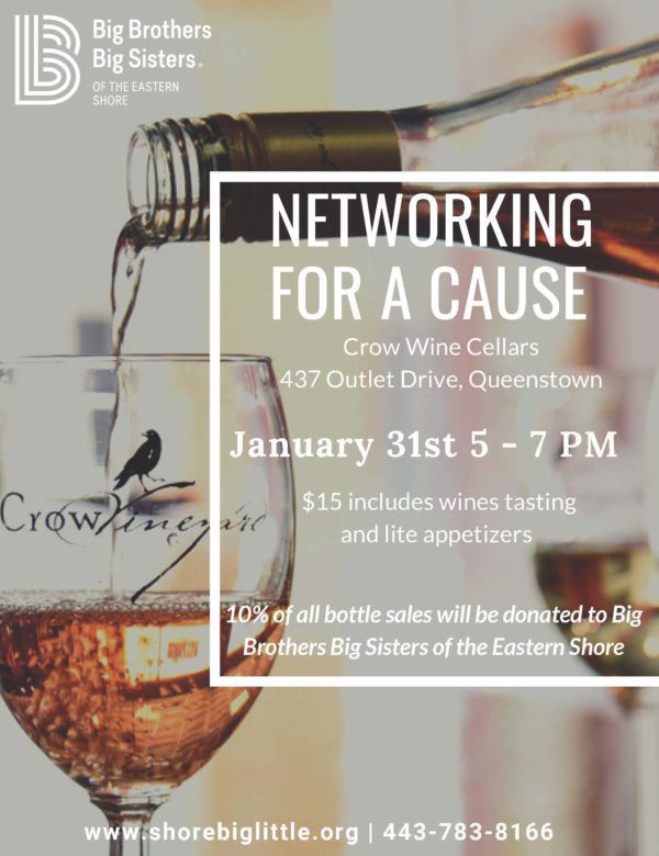 NETWORKING FOR A CAUSE Darft 3 PRINT